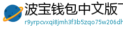 波宝钱包中文版下载